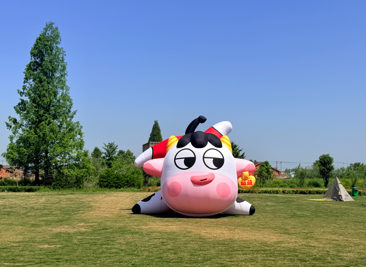 幼牛.jpg
